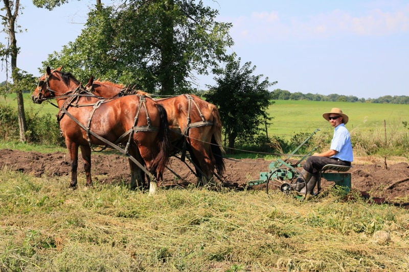 farmer john arbuckle on horses