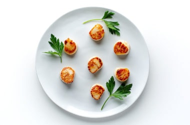 simple seared scallops on a plate