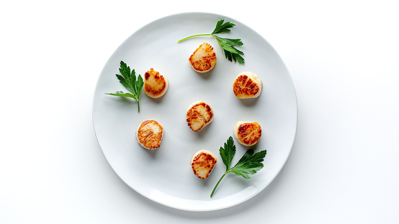 simple seared scallops on a plate