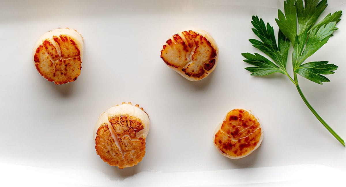 seared-scallops