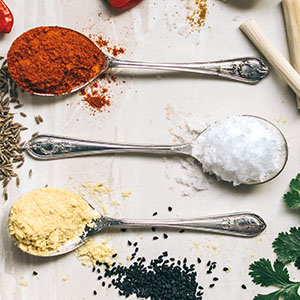 garlic salt chili powder