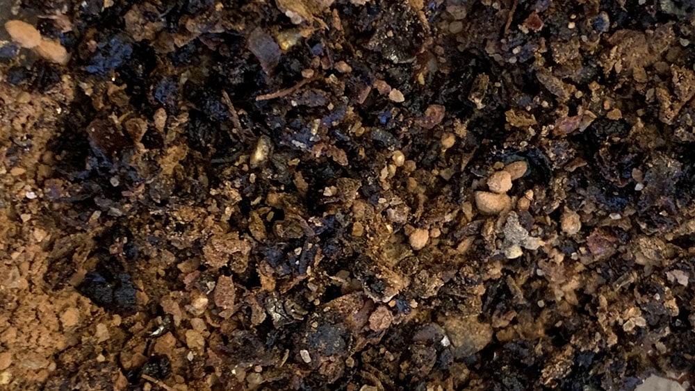 chili cacao dry rub