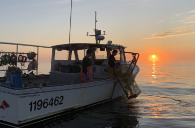 lobstering at sunrise in Maine