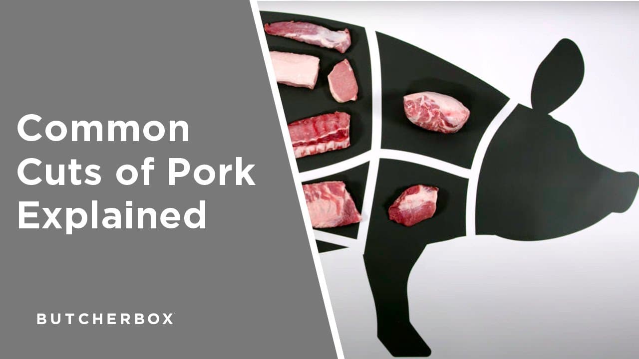 Common Cuts of Pork Explained The ButcherBox Pork Map Just Cook by