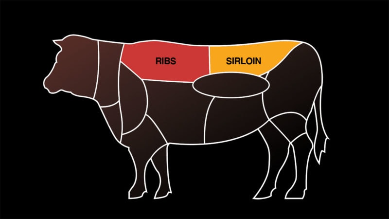 beef cuts chart with ribs and sirloin highlighted