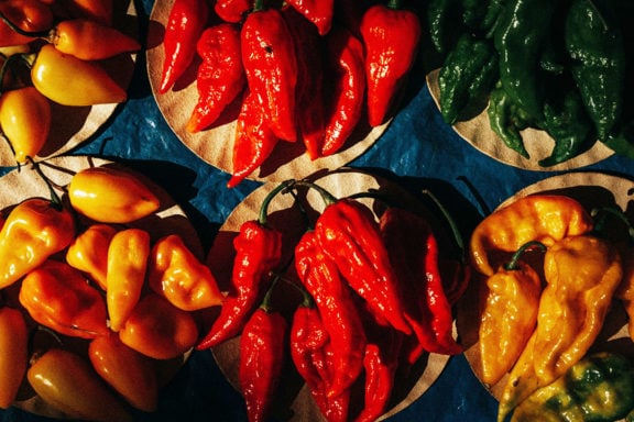 various peppers of different flavors