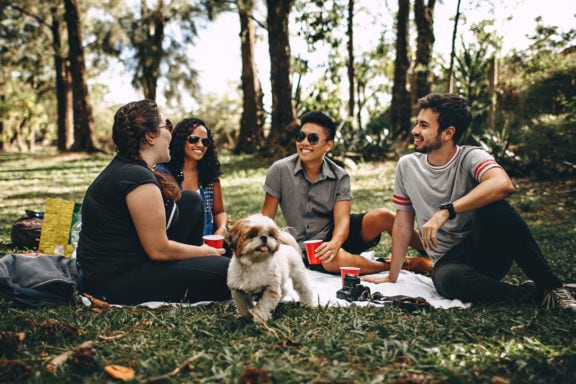 A group of people and a dog having a picnic in the park