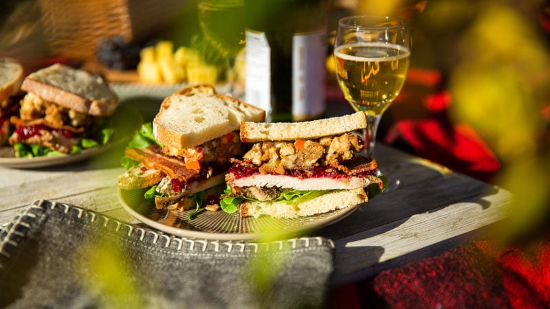 picnic in the park with turkey sandwiches and fall drinks