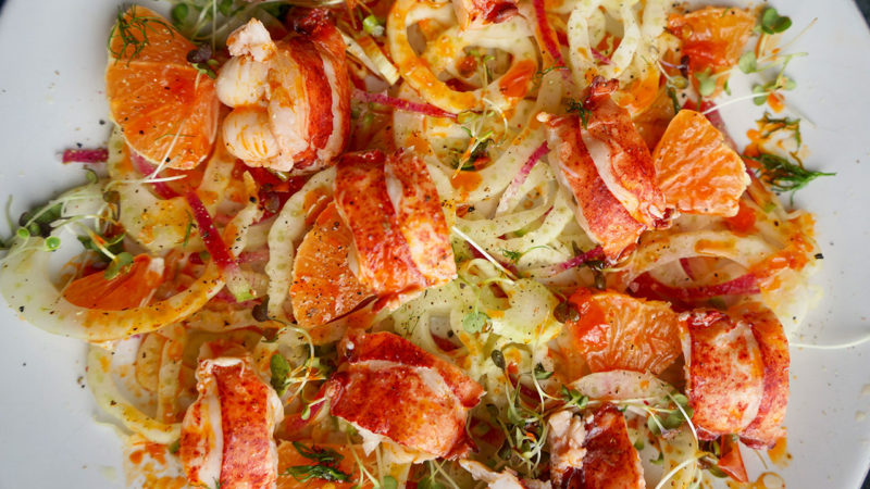 lobster salad with fennel and orange